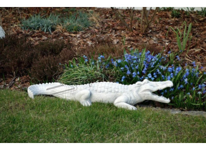 Décoration de jardin Crocodile Patio Stone Figures Figure Statue